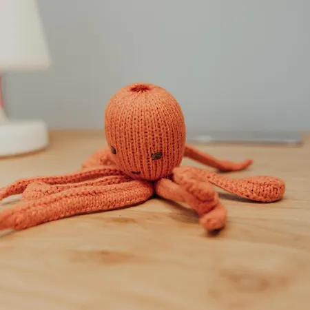 Apartment Eiderente Haus Langeoog *